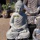 Palmiers Oliviers & Arbustes : Buddha moyen