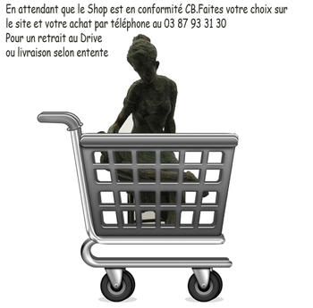 Drive ou livraison selon entente